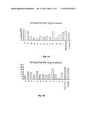 Compositions and Methods for Treatment of Prostate and Other Cancers diagram and image