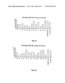 Compositions and Methods for Treatment of Prostate and Other Cancers diagram and image