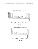 Compositions and Methods for Treatment of Prostate and Other Cancers diagram and image