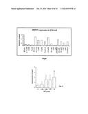 Compositions and Methods for Treatment of Prostate and Other Cancers diagram and image