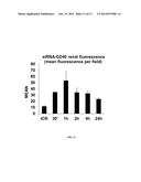 STRATEGIES FOR PREVENTION AND/OR TREATMENT OF DISEASES BASED ON CD40     SILENCING diagram and image