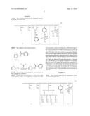 AMPHIPHILIC MACROMOLECULE AND USE THEREOF diagram and image