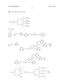 AMPHIPHILIC MACROMOLECULE AND USE THEREOF diagram and image