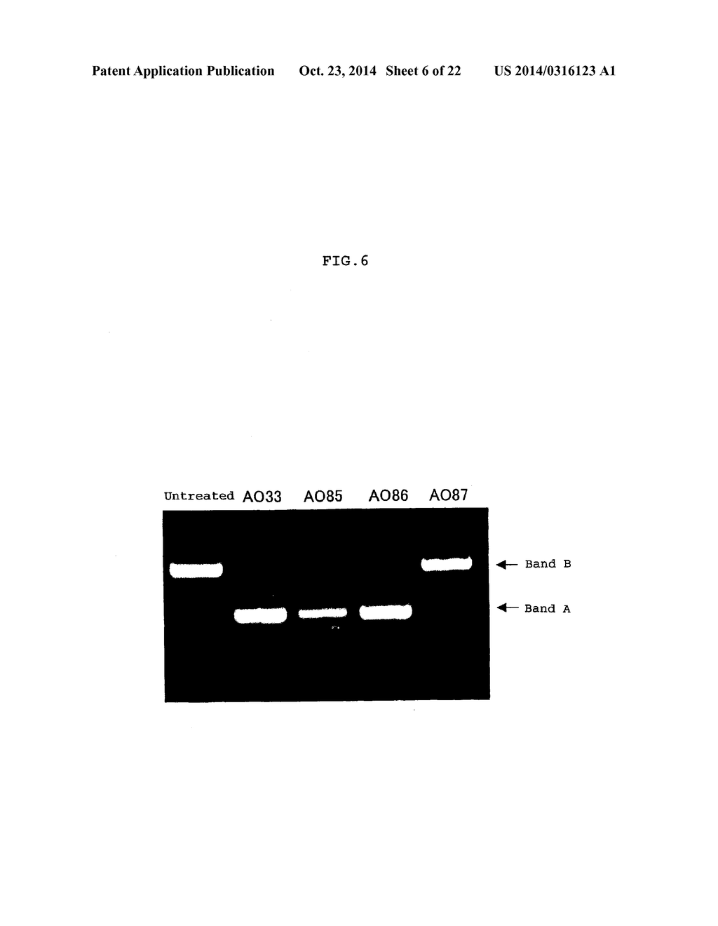 ENA NUCLEIC ACID PHARMACEUTICALS CAPABLE OF MODIFYING SPLICING OF mRNA     PRECURSORS - diagram, schematic, and image 07