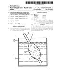 Method for producing a bioactive surface on an endoprosthesis or on the     balloon of a balloon catheter diagram and image