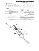 METHODS AND DEVICES TO TREAT NASAL AIRWAYS diagram and image