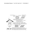 Class of Bearings to Protect Structures from Earthquake and Other Similar     Hazards diagram and image