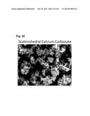 Fibrous Structured Amorphous Silica Including Precipitated Calcium     Carbonate, Compositions of Matter Made Therewith, and Methods of Use     Thereof diagram and image