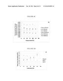 NANOPARTICLE COMPACT MATERIALS FOR THERMOELECTRIC APPLICATION diagram and image