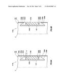 Probe Packer and Method of Using Same diagram and image