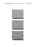 FEPT-BASED SPUTTERING TARGET diagram and image