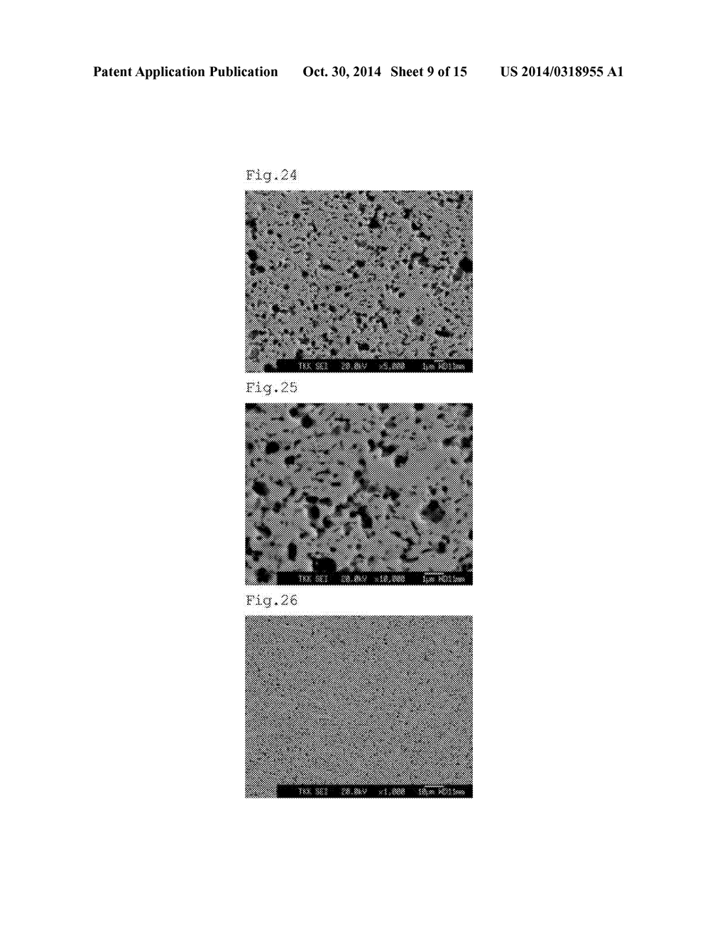 FEPT-BASED SPUTTERING TARGET - diagram, schematic, and image 10