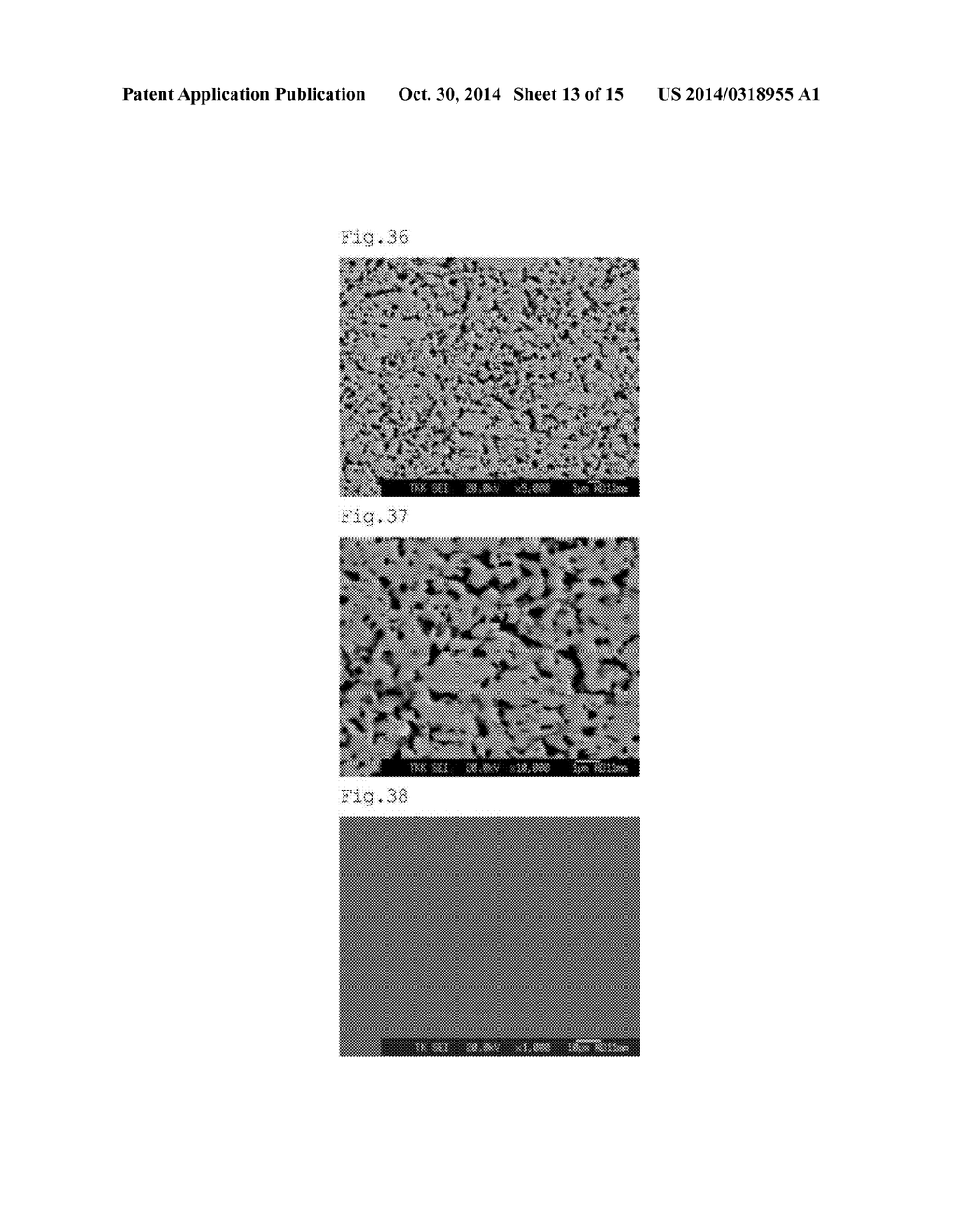 FEPT-BASED SPUTTERING TARGET - diagram, schematic, and image 14