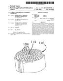 CARBON NANOTUBE BASED NANOPOROUS MEMBRANES diagram and image