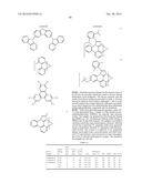 ORGANIC ELECTROLUMINESCENT MATERIALS AND DEVICES diagram and image