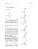 ORGANIC ELECTROLUMINESCENT DISPLAY DEVICE diagram and image