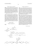 ORGANIC ELECTROLUMINESCENT DISPLAY DEVICE diagram and image