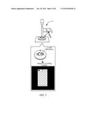 ELECTRONIC DEVICE AND METHOD FOR DETECTING SURFACE FLAW OF SAMPLE diagram and image