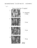 METHODS FOR FABRICATION OF STABLE ULTRA-LOW REFLECTIVE SURFACE AND THE     ULTRA-LOW REFLECTIVE SURFACE ITSELF diagram and image