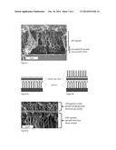 LAYER SYSTEM HAVING A LAYER OF CARBON NANOTUBES ARRANGED PARALLEL TO ONE     ANOTHER AND AN ELECTRICALLY CONDUCTIVE SURFACE LAYER, METHOD FOR     PRODUCING THE LAYER SYSTEM, AND USE OF THE LAYER SYSTEM IN MICROSYSTEM     TECHNOLOGY diagram and image