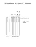 DEVICE FOR RAPID DETERMINATION OF DISEASE-ASSOCIATED THIOL COMPOUNDS diagram and image