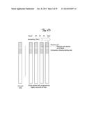 DEVICE FOR RAPID DETERMINATION OF DISEASE-ASSOCIATED THIOL COMPOUNDS diagram and image