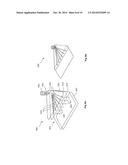 MICROFLUIDIC CHIPS AND ASSAY SYSTEMS diagram and image