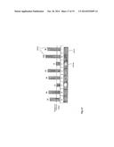 MICROFLUIDIC CHIPS AND ASSAY SYSTEMS diagram and image