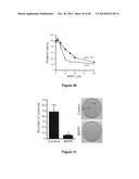 Materials and Methods Useful to Induce Cell Death via Methuosis diagram and image