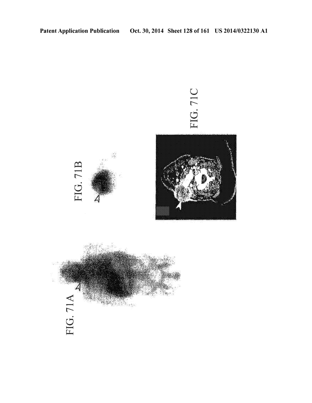 SPECIFIC BINDING PROTEINS AND USES THEREOF - diagram, schematic, and image 129