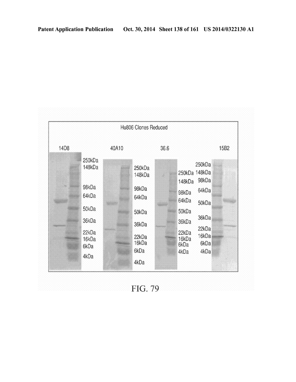 SPECIFIC BINDING PROTEINS AND USES THEREOF - diagram, schematic, and image 139