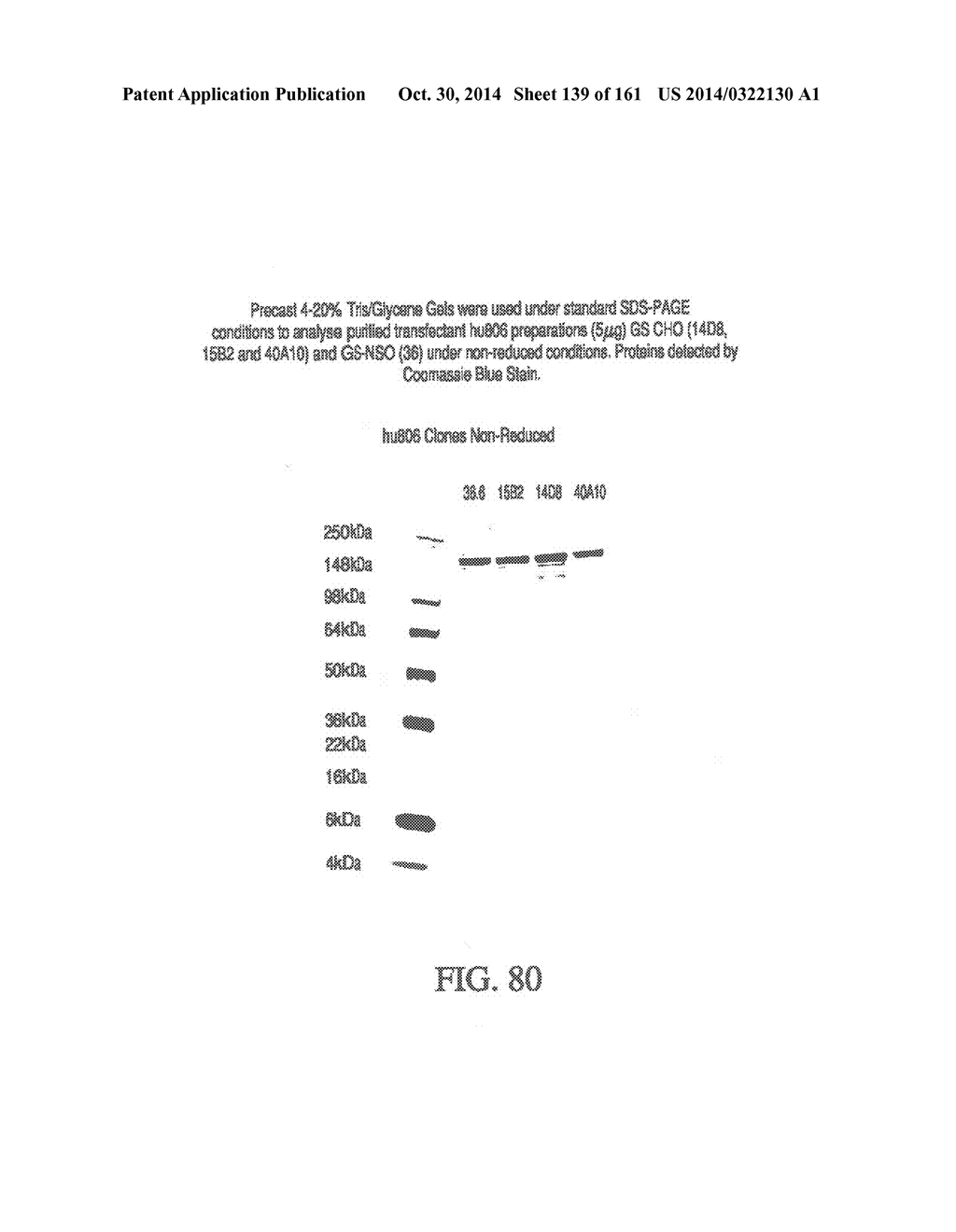 SPECIFIC BINDING PROTEINS AND USES THEREOF - diagram, schematic, and image 140