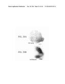 SPECIFIC BINDING PROTEINS AND USES THEREOF diagram and image