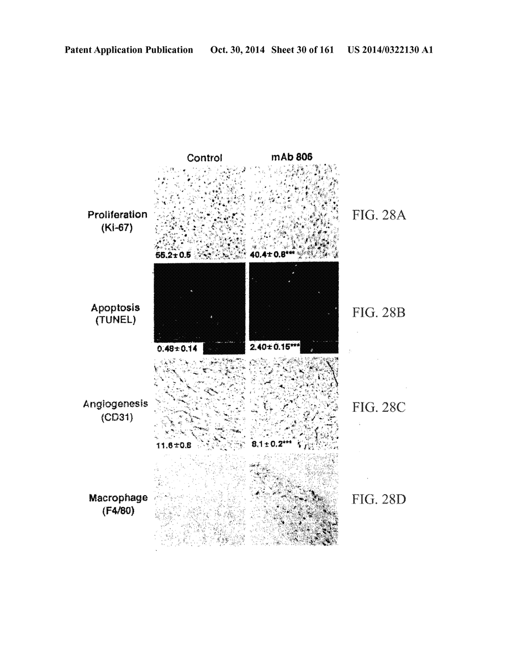 SPECIFIC BINDING PROTEINS AND USES THEREOF - diagram, schematic, and image 31