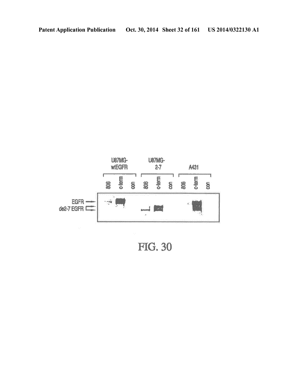 SPECIFIC BINDING PROTEINS AND USES THEREOF - diagram, schematic, and image 33