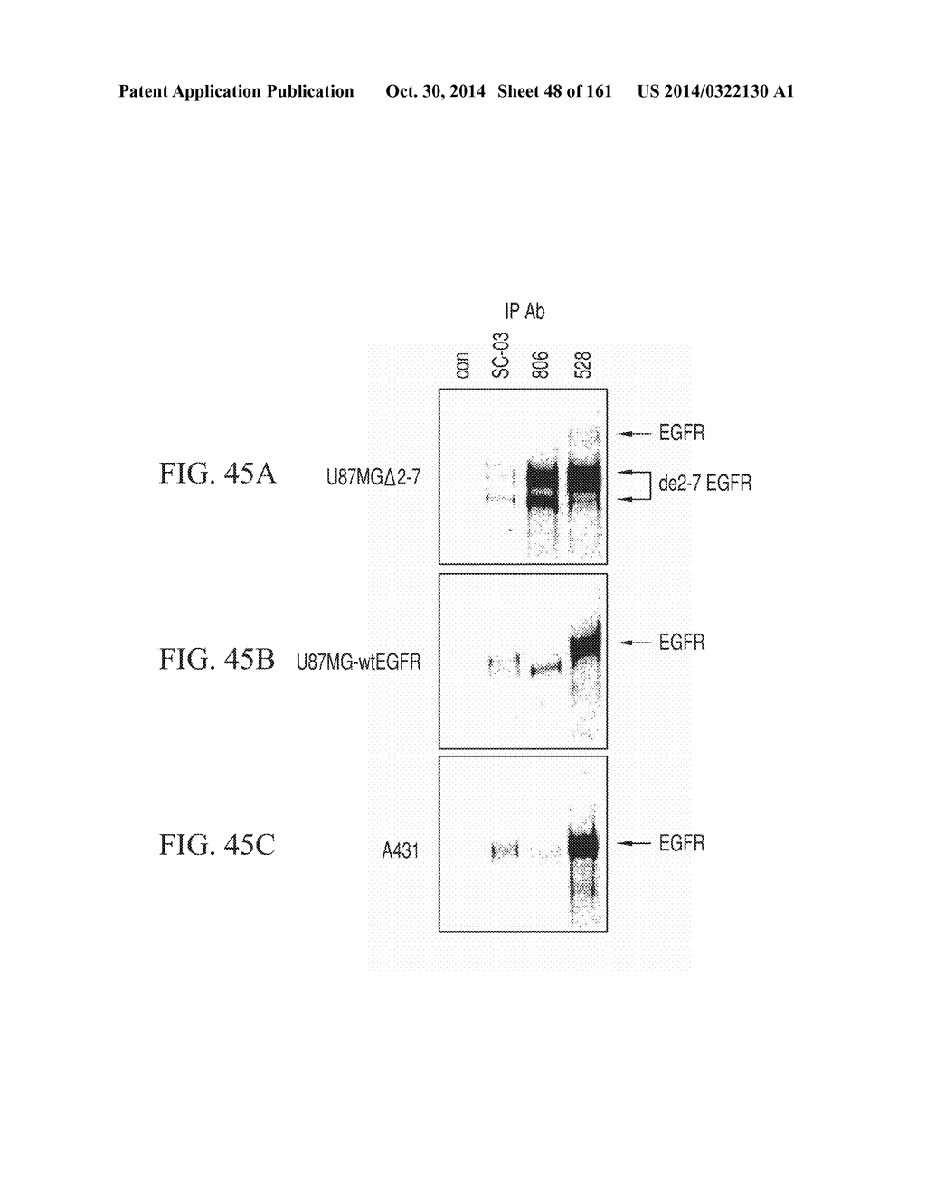 SPECIFIC BINDING PROTEINS AND USES THEREOF - diagram, schematic, and image 49