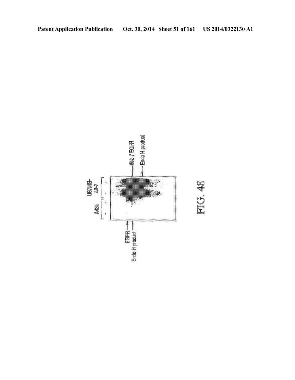 SPECIFIC BINDING PROTEINS AND USES THEREOF - diagram, schematic, and image 52