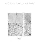 TSPO-TARGETING COMPOUNDS AND USES THEREOF diagram and image