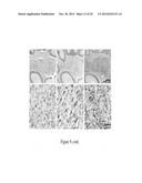 TSPO-TARGETING COMPOUNDS AND USES THEREOF diagram and image