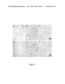 TSPO-TARGETING COMPOUNDS AND USES THEREOF diagram and image