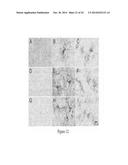 TSPO-TARGETING COMPOUNDS AND USES THEREOF diagram and image