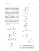 INHIBITORS OF HEPATITIS C VIRUS POLYMERASE diagram and image