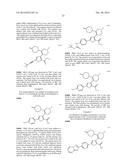 INHIBITORS OF HEPATITIS C VIRUS POLYMERASE diagram and image