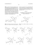 INHIBITORS OF HEPATITIS C VIRUS POLYMERASE diagram and image