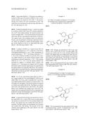 INHIBITORS OF HEPATITIS C VIRUS POLYMERASE diagram and image