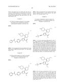 INHIBITORS OF HEPATITIS C VIRUS POLYMERASE diagram and image