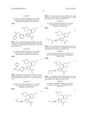 INHIBITORS OF HEPATITIS C VIRUS POLYMERASE diagram and image