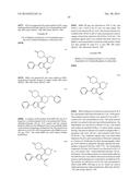 INHIBITORS OF HEPATITIS C VIRUS POLYMERASE diagram and image