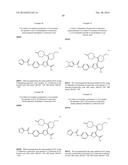 INHIBITORS OF HEPATITIS C VIRUS POLYMERASE diagram and image