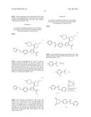 INHIBITORS OF HEPATITIS C VIRUS POLYMERASE diagram and image